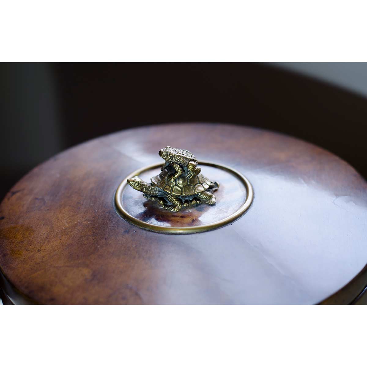 A Pollard Burl Circular Box - Image 5