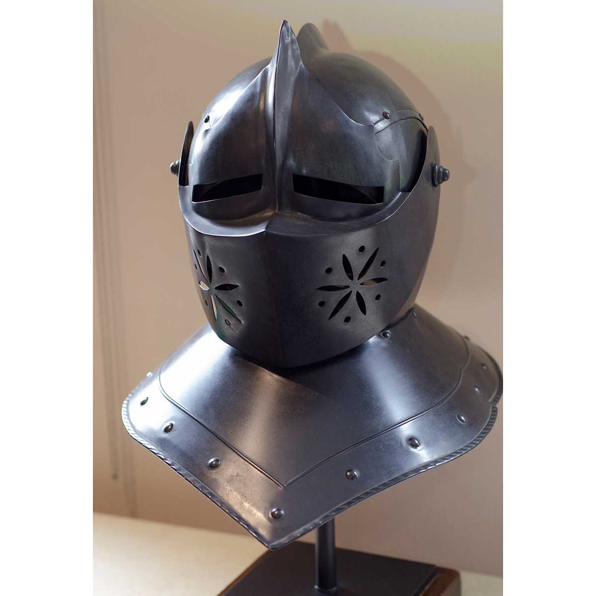 Prepared for the Joust - Image 3